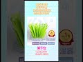 【楽天市場】皆が買ってる自然気化式加湿器ランキング #shorts #ランキング