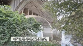 Austins Bat City Experience: An Upgrade Under South Congress Bridge