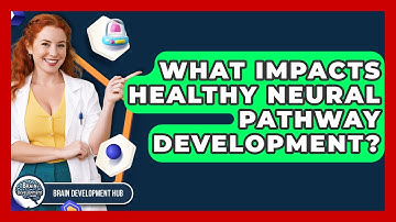 What Impacts Healthy Neural Pathway Development? - Brain Development Hub