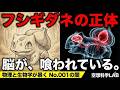 フシギダネは動物?植物?動物と植物が共生可能なのか科学的に検証します【ポケモン】
