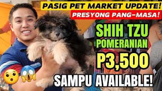 PASIG: PRESYONG PANGMASA ANG PUPPIES DITO! | PASIG PET MARKET LATEST UPDATE! by Nanay Karen & Tatay Chester Vlogs 6,852 views 1 month ago 24 minutes