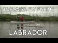 Topwater Fly Fishing in Labrador | Hunt River