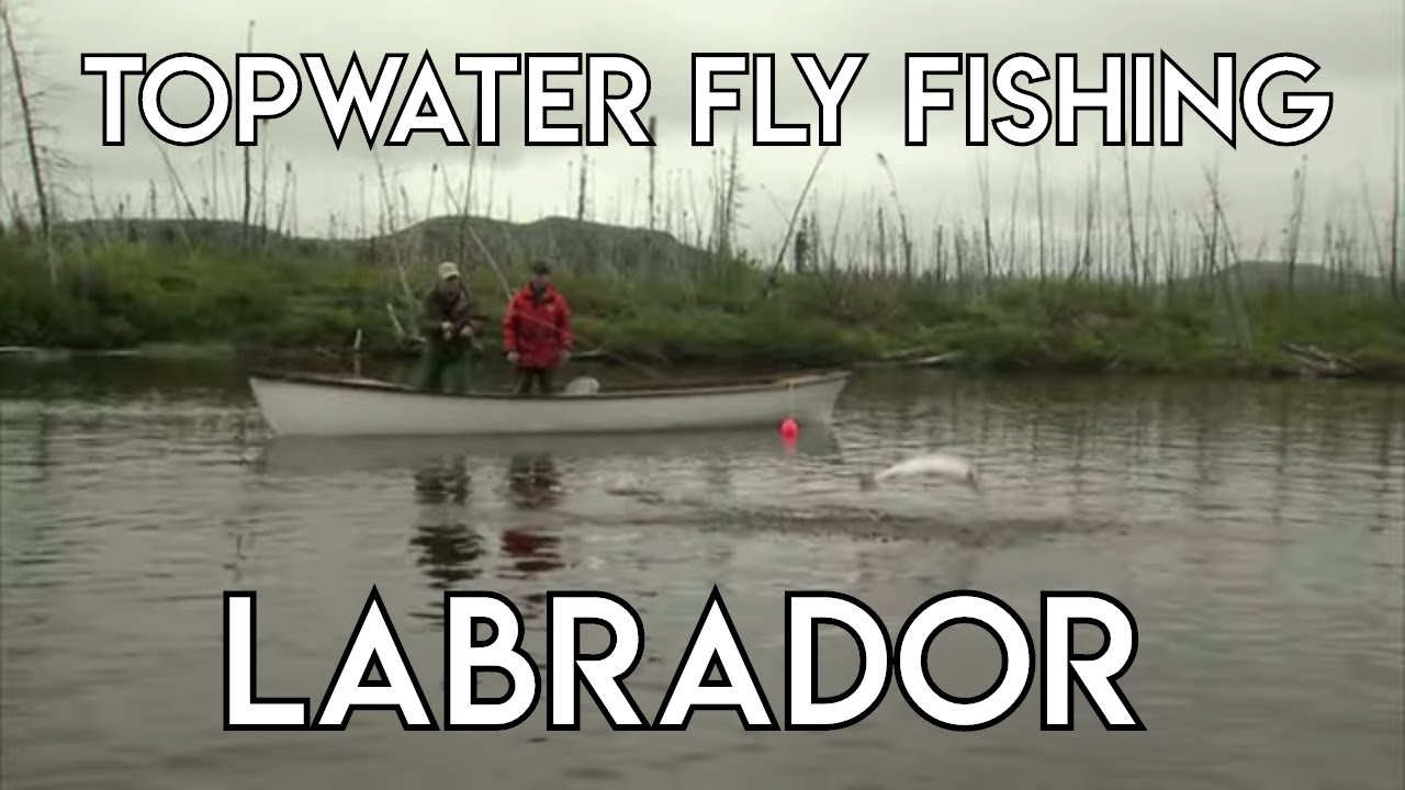 Topwater Fly Fishing in Labrador Hunt River YouTube