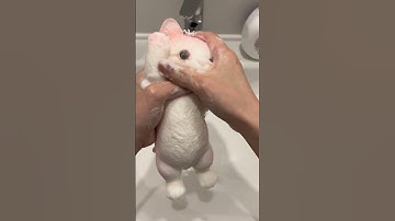 How to clean your taba squishy#taba #squishy #cat #cutecat #statisfying #stressrelief #handmade #fyp