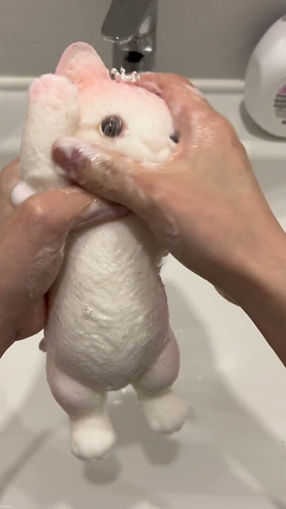 How to clean your taba squishy#taba #squishy #cat #cutecat #statisfying #stressrelief #handmade #fyp