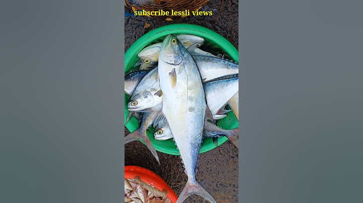 பாறை மீன் வகைகள்  rock fish types #fish #fishing #fishmarket