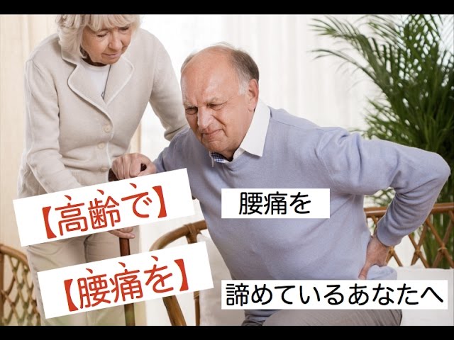 Kyoto Back Pain Fushimi Chiropractic] For those who have