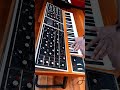 Moog One16 é o melhor sintetizador Moog #synth #synthesizer#moog #moogone #synthwave