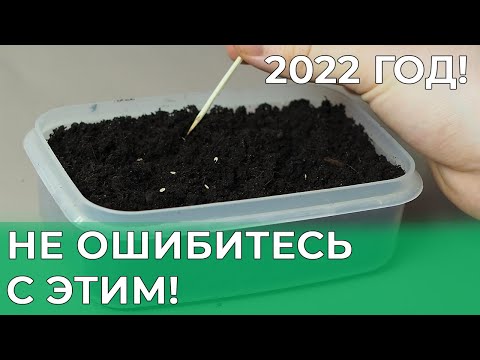 Видео: Когда сеять перец на рассаду в 2022 году? Рассказываю точные сроки для любого региона!