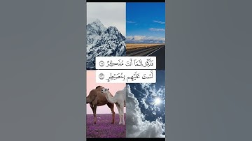 أفلا ينظرون إلى الابل كيف خُلقت🥹🤍 القارئ الشيخ عمر بن ضياء الدين#قرآن #قران_كريم #راحة_نفسية #foryou