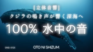 ※映像修正&長時間ver別途再アップしています【睡眠用BGM・水中 音・クジラ 鳴き声】クジラの声に包まれ癒される 100% 水中の音 |立体音響 | ASMR |睡眠 水の音 | 深海の音