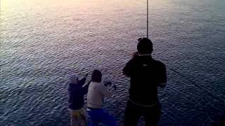 Download Video Mancing Mania....2011-20111209-00041.3gp Video MP3 Video Mancing Mania....2011-20111209-00041.3gp