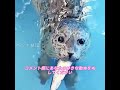 男性が意外にも変異したザリガニを発見した。のサムネイル