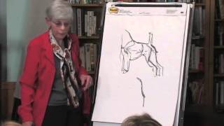 The Lakeland Terrier  Breed Education  Part 2