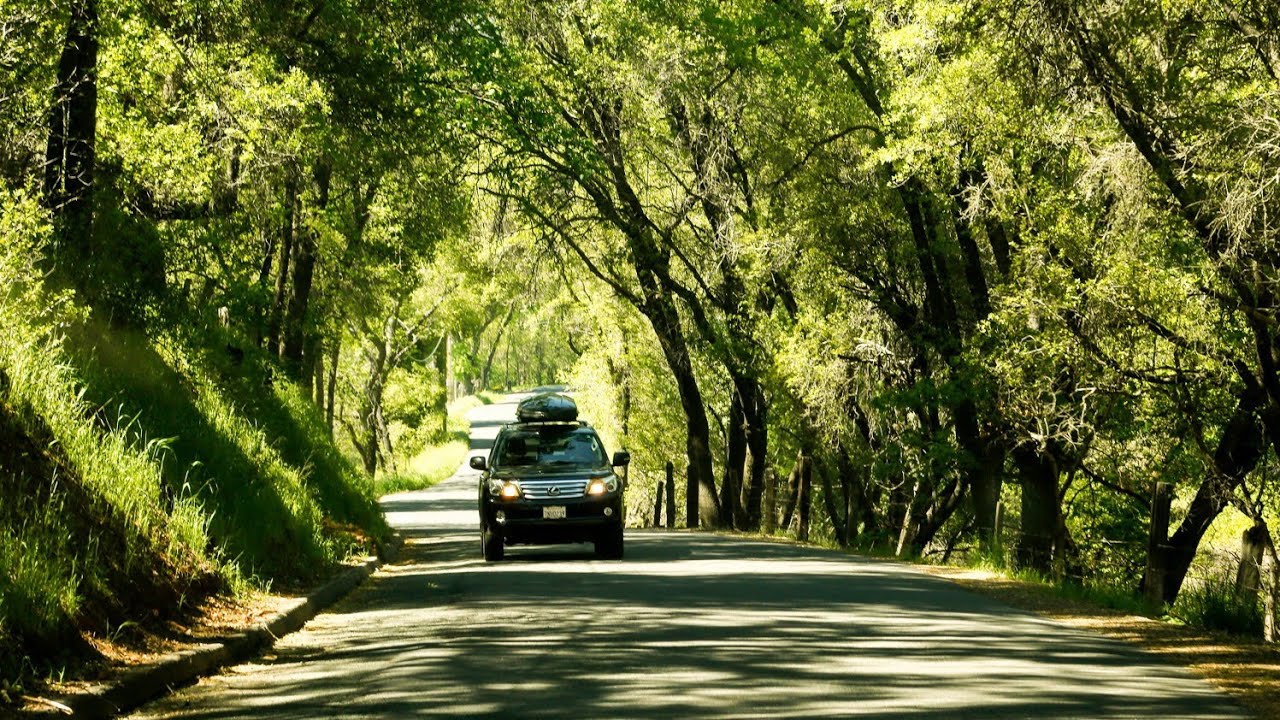 Road trip from Greater NOIDA (U.P) to Jabalpur (M.P)