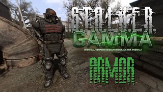 Everything You Need To Know About ARMOR In STALKER GAMMA