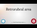 Retrorubral area   anatomy of the brain   seehearsaylearn 