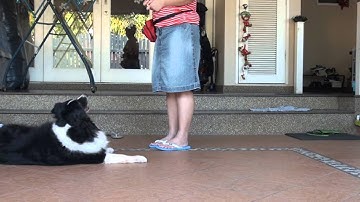 Web Lesson 3 / Exercise Packet A / Execise 3.3 / Capture Something New