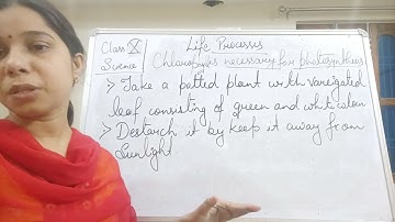 Class X Science 07 04 2021 by Ms Mridulata upadhyay Life processes