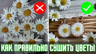 5 способов КАК ЗАСУШИТЬ ЦВЕТЫ. Какой способ самый эффективный?