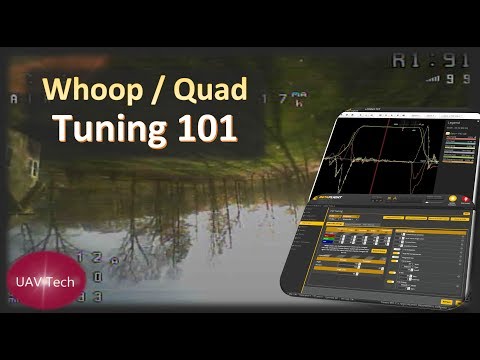 Whoop \ Quad Tuning 101 (!! ANY SIZE | ANY FIRMWARE !!)