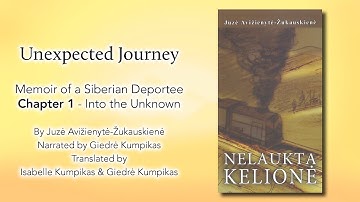 Unexpected Journey Chaper 1 - Into the Unknown