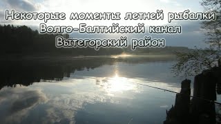 Некоторые моменты летней рыбалки.  Волго-Балт.