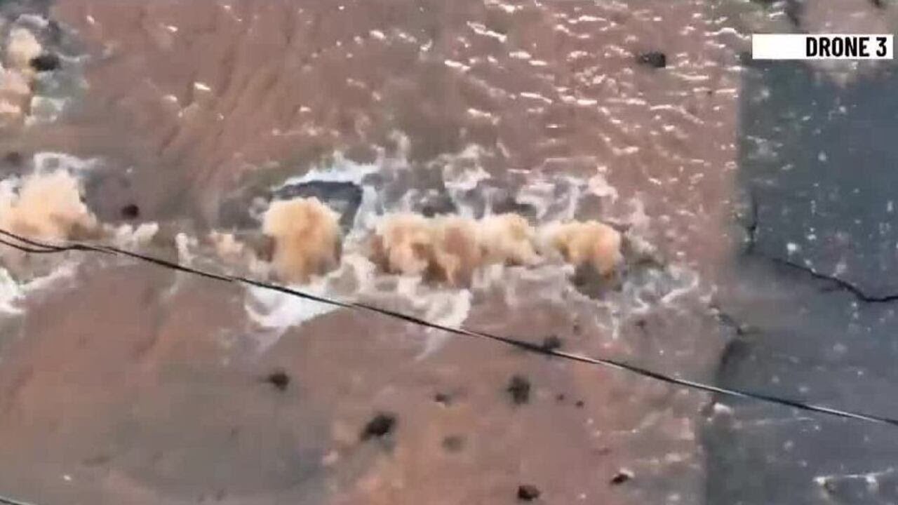 Water main break floods busy street near Uptown Charlotte - YouTube