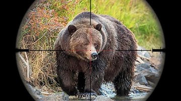 30 HUGE BEAR SHOT COMPILATION in 8 minutes (Ultimate Bear Hunting Compilation) BEST OF