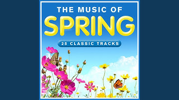 Serenade for String Orchestra in E Minor, Op. 20: II. Larghetto