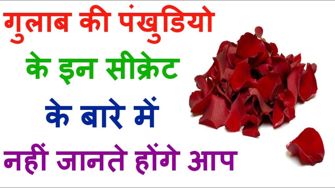 Unbelievable Heath Benefits of Rose Petals YouTube