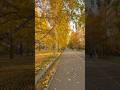 Golden Autumn in President Park Almaty, Kazakhstan 😍