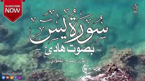 سورة ياسين بصوت هادئ قبل النوم القارئ وضاح الحمودي