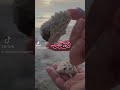 كيف نحصل على حجر شبه كريم اكسبلور احجار كريمة تونسيات خرز ترند 