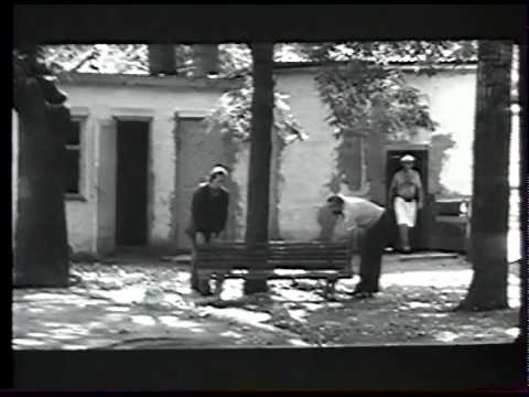 მოკლემეტრაჟიანი მხ. ფილმი - ბიძინა - Bidzina