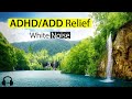 Ad.add relief  white noise  natural sound for better focus and sleep proven by science