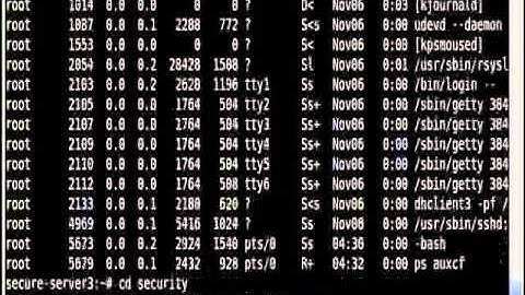 SSH Honeypot Session Capture 2