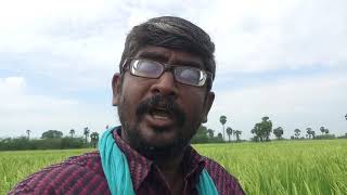 அரசு அலுவலகங்களில் உள்ள ஆவணங்களை ஒரு சாதாரண குடிமகன் RTI சட்டம் 2005 பிரிவு 2(j) ன் கீழ் ஆய்வு செய்ய