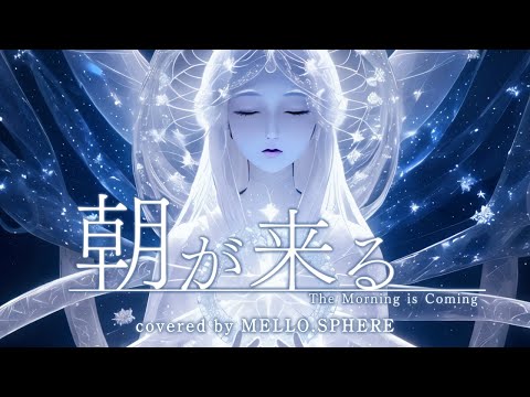 【 朝が来る/Aimer 】covered by MELLO