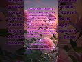 Вы будете вместе Пишите ватсап 89178038060 Вы будете вместе Пишите ватсап 89178038060