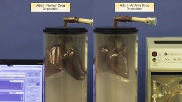 Aerosol Drug Deposition using the ASL 5000 Breathing Simulator