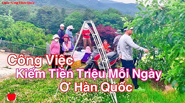 Công Việc Thực Tế Kiếm Tiền Triệu Mỗi Ngày Của Người Việt Ở Hàn Quốc