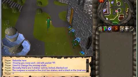 Minimap and compass state