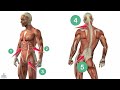 What Will Happen If You Do 100 Crunches A Day? (Detailed Video)