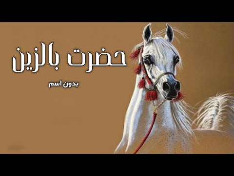 شيلة مدح بدون اسم جديده  حضرت بالزين في شوط الاوايل اداء صوت الفخامه متعب الخيل