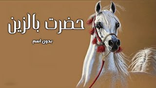 شيلة مدح بدون اسم جديده 2024 حضرت بالزين في شوط الاوايل | اداء صوت الفخامه متعب الخيل