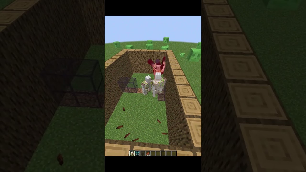 Iron Golem Vs Warden !