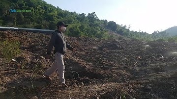 Tưới tự động cây ăn trái bằng béc tưới Bs5000 mini v2- Tưới cho đồi dốc- tưới tự động tại Phú Yên