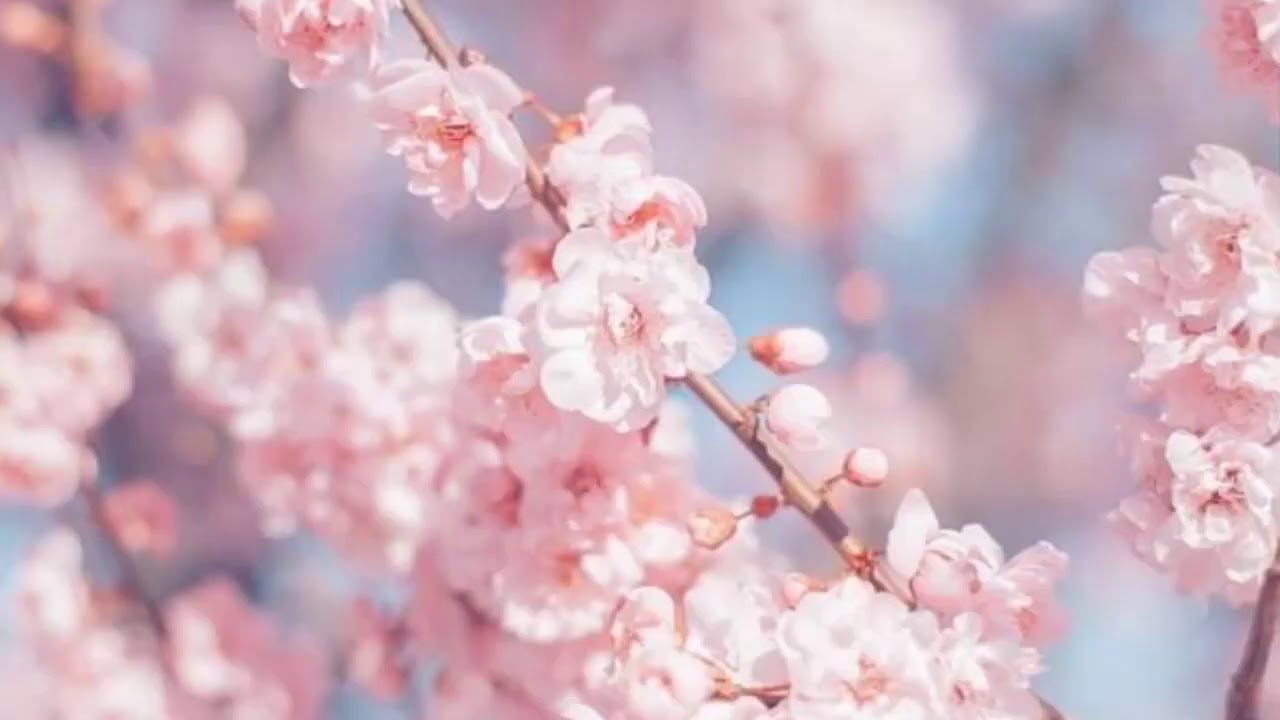 Believe - secret nation