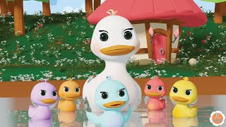 5 Little Ducks song | Nursery Rhymes & Newborn Baby Songs